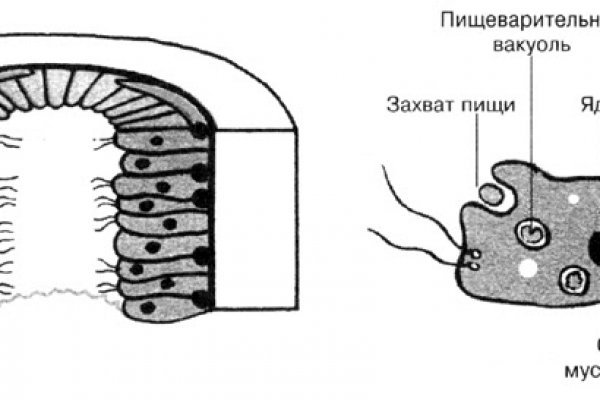 Кракен точка
