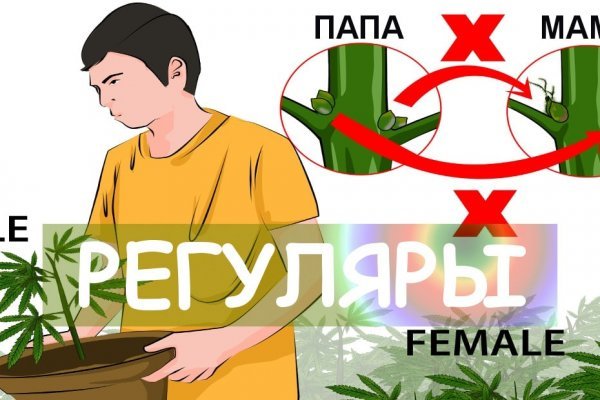 Действующие ссылки на кракен