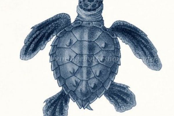 Kra31at