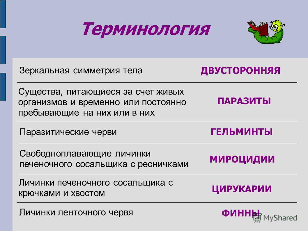Кракен как проверить зеркало